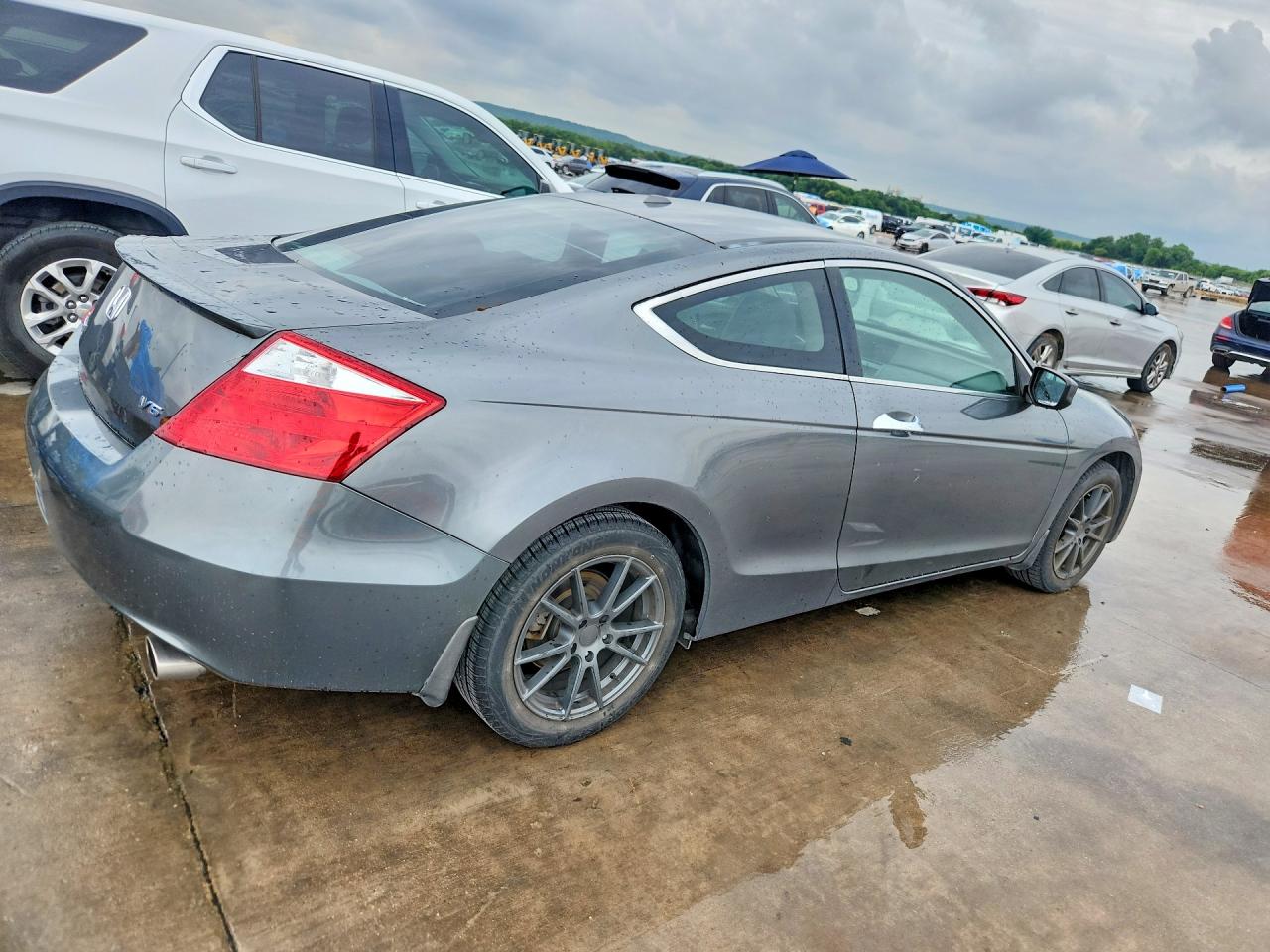 2009 Honda Accord Exl Gray vin: 1HGCS22809A002362