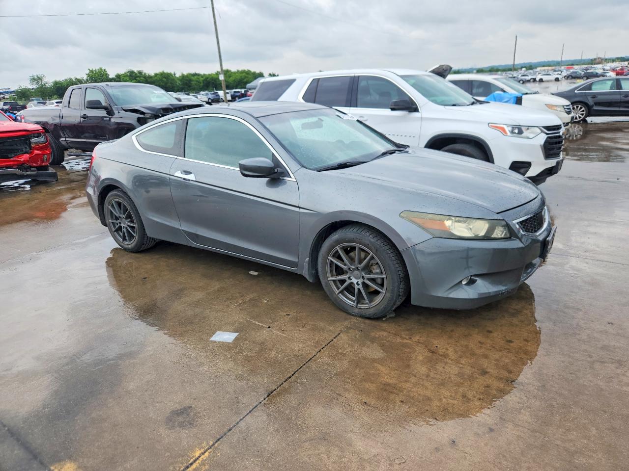 2009 Honda Accord Exl Gray vin: 1HGCS22809A002362