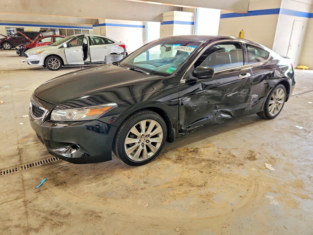 2009 Honda Accord Exl Black vin: 1HGCS22809A009571