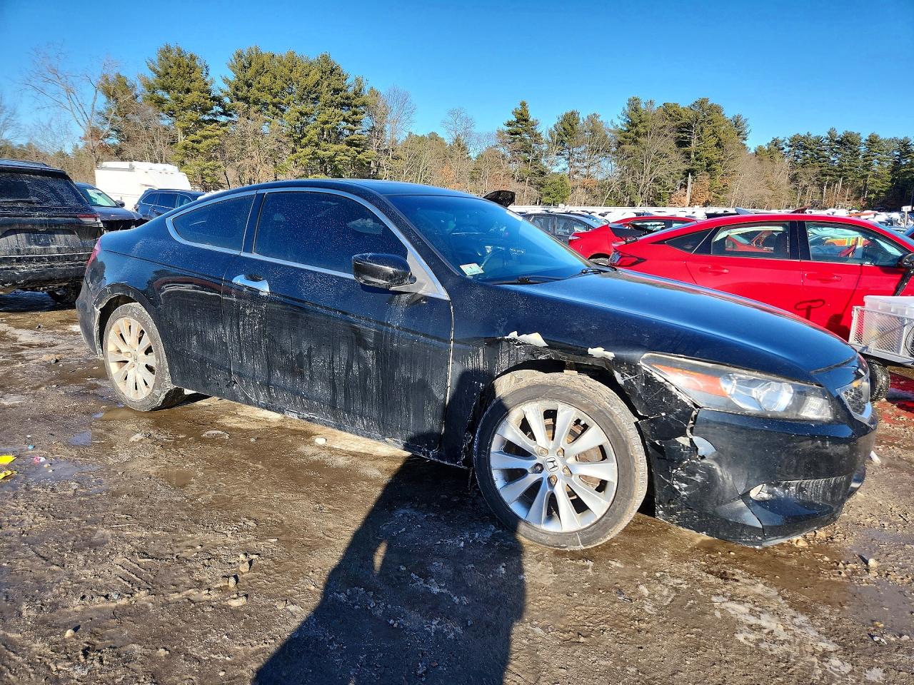 2009 Honda Accord Exl Black vin: 1HGCS22819A012818