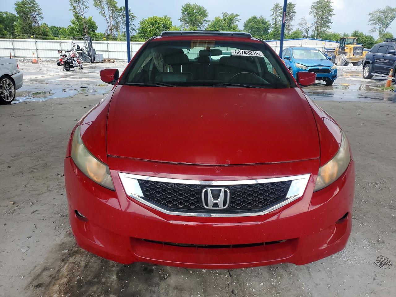 2009 Honda Accord Exl Красный vin: 1HGCS22829A002086