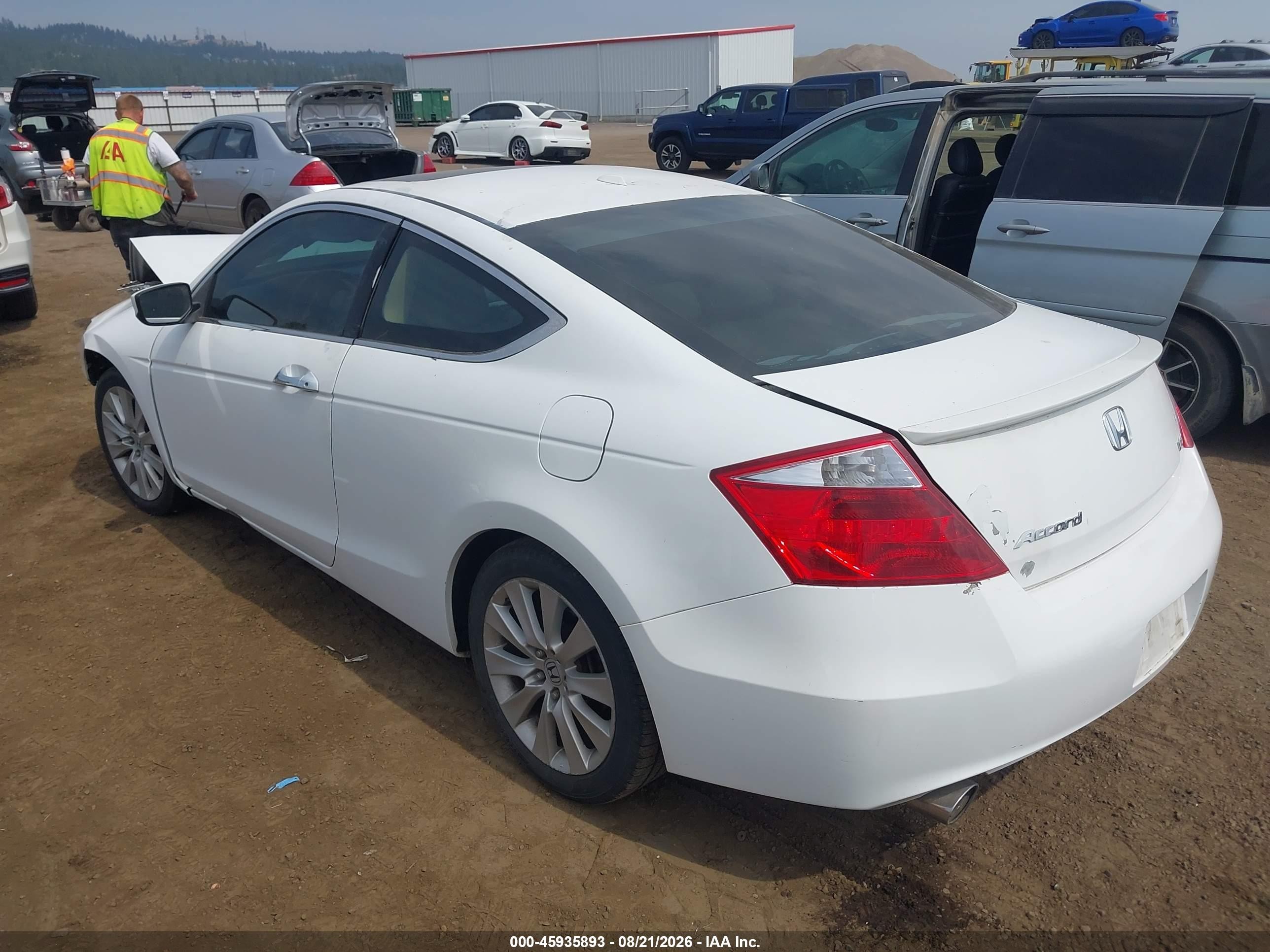 2009 Honda Accord Exl Белый vin: 1HGCS22829A003562