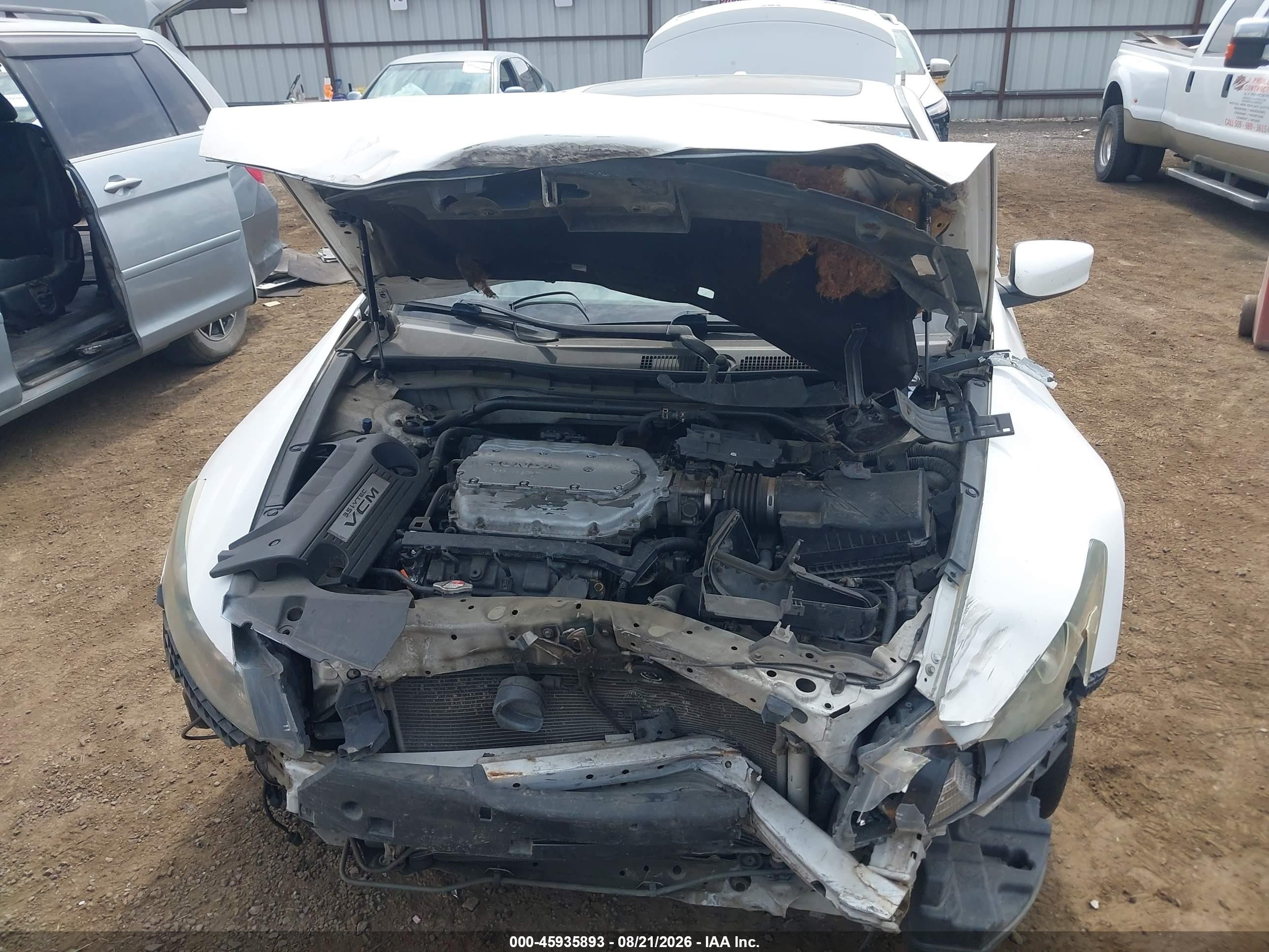 2009 Honda Accord Exl Белый vin: 1HGCS22829A003562