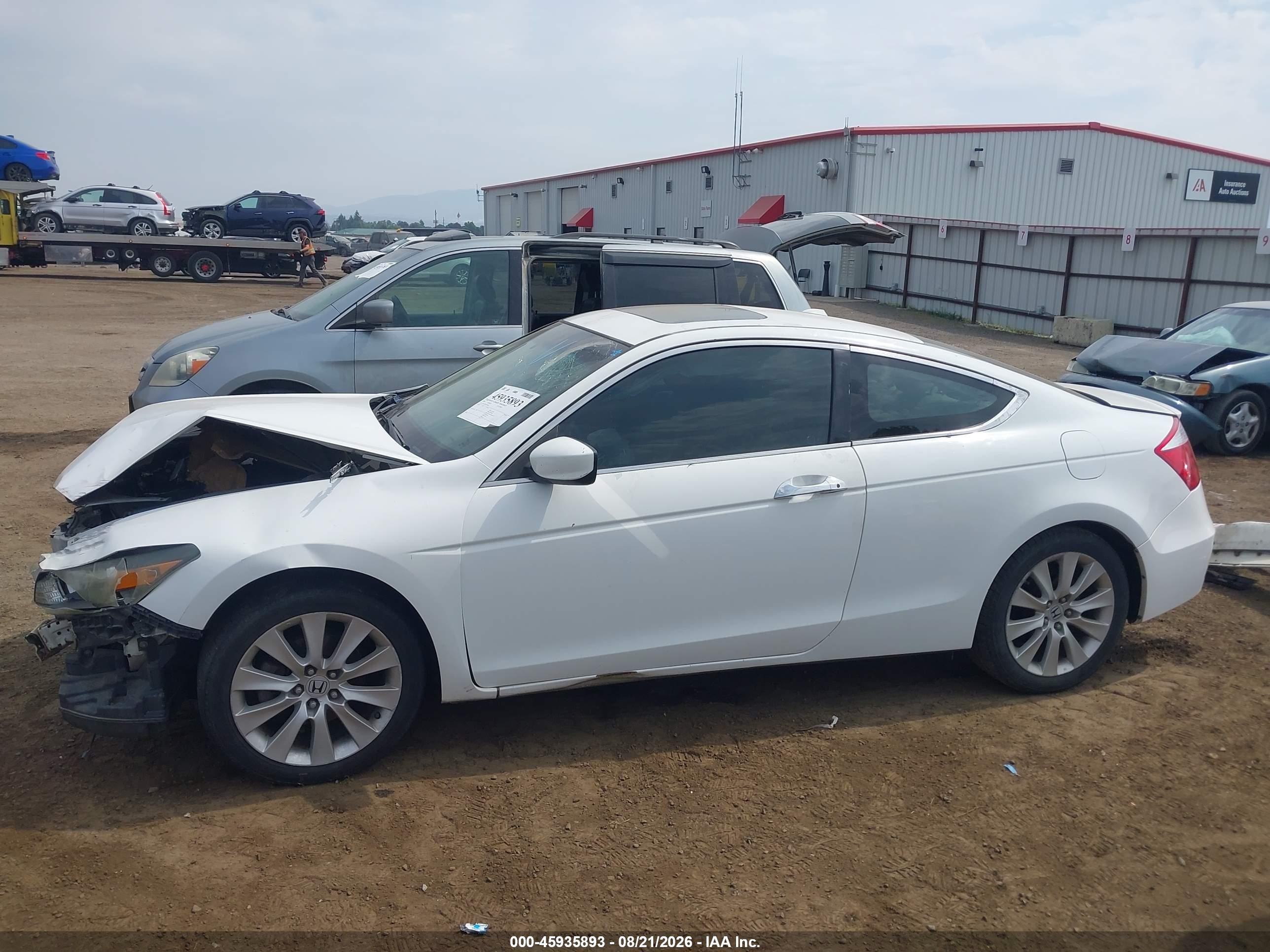 2009 Honda Accord Exl Белый vin: 1HGCS22829A003562