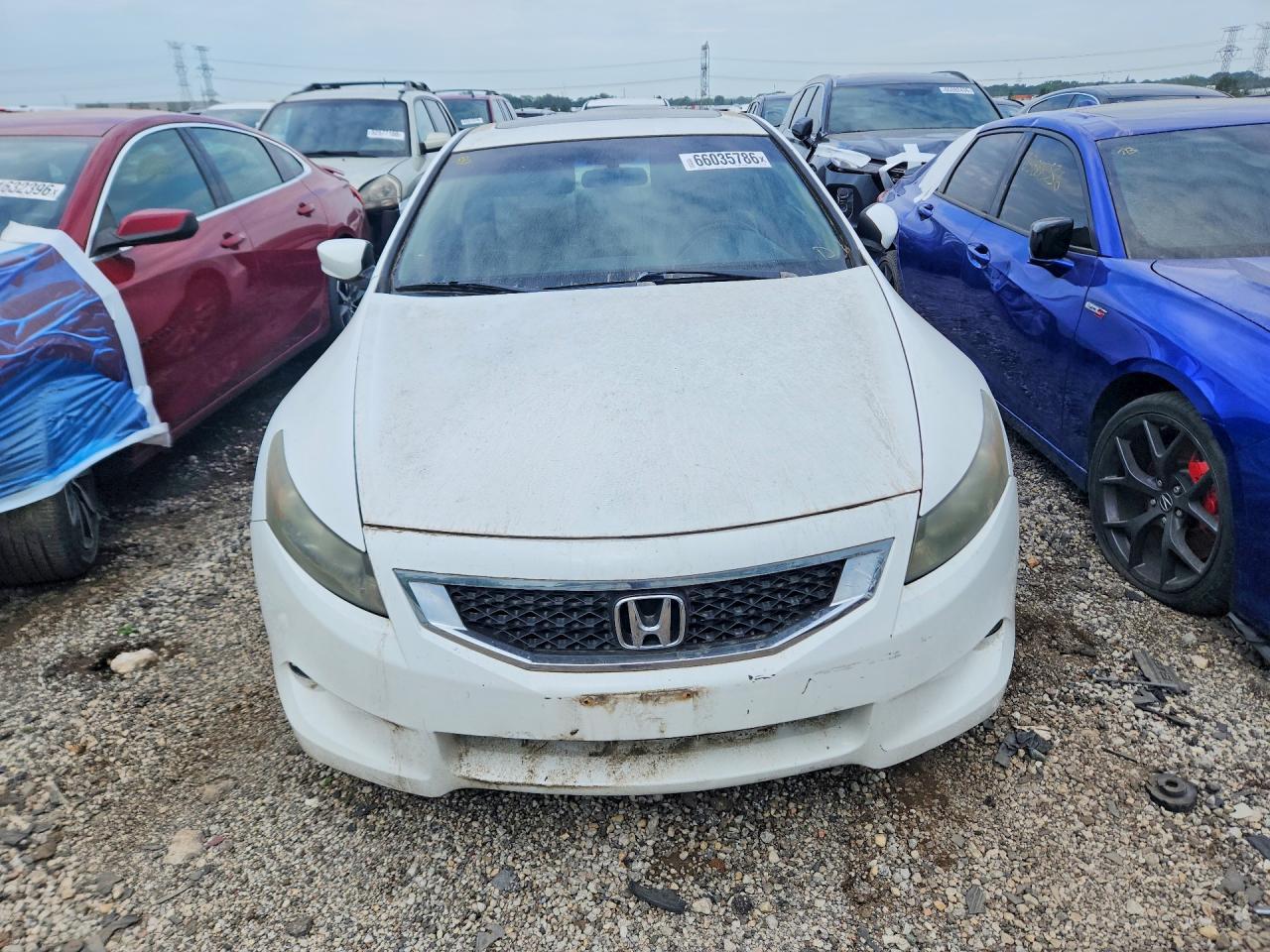 2009 Honda Accord Exl White vin: 1HGCS22829A007658