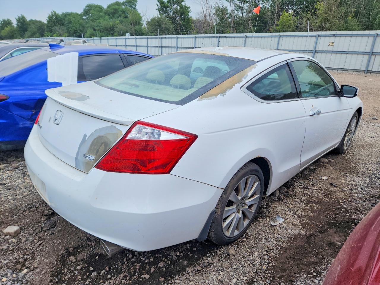 2009 Honda Accord Exl White vin: 1HGCS22829A007658