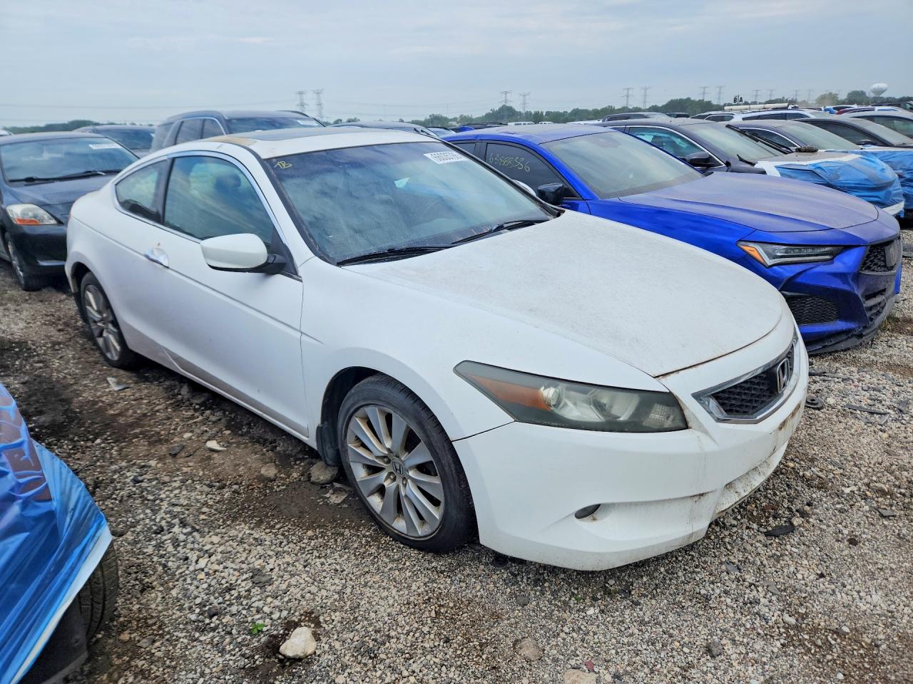 2009 Honda Accord Exl White vin: 1HGCS22829A007658