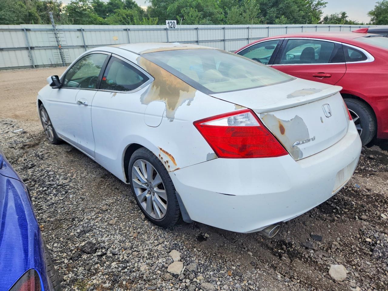 2009 Honda Accord Exl White vin: 1HGCS22829A007658