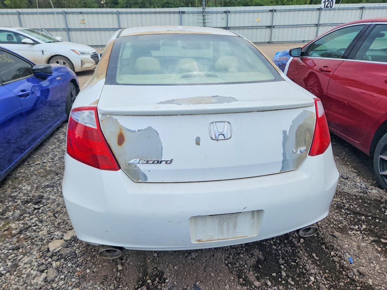 2009 Honda Accord Exl White vin: 1HGCS22829A007658