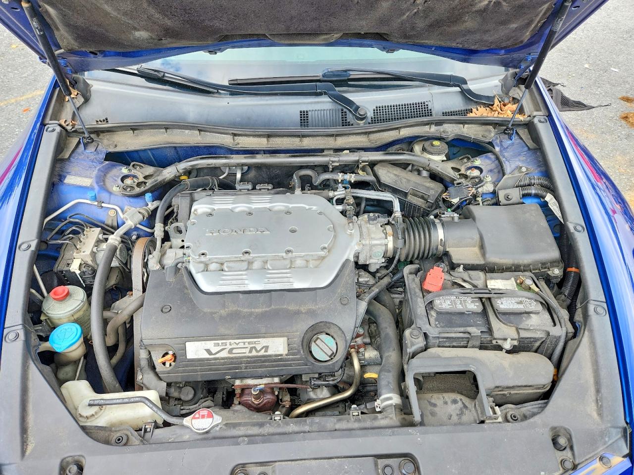 2008 Honda Accord Exl Blue vin: 1HGCS22868A003966