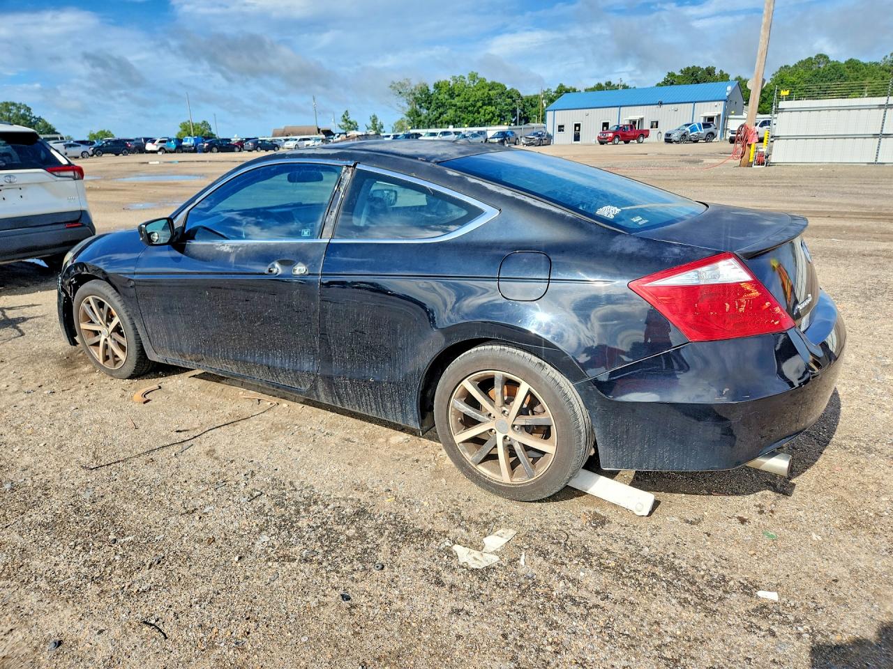 2009 Honda Accord Exl Black vin: 1HGCS22869A001457
