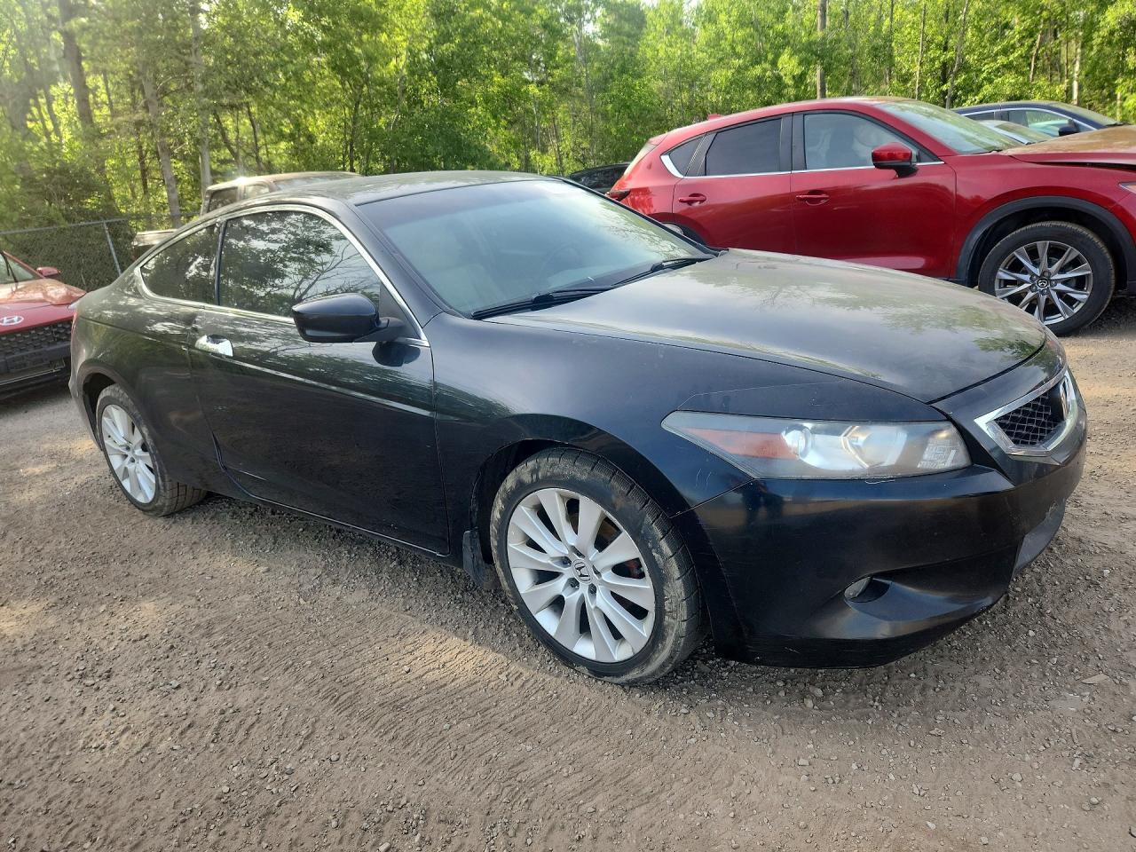 2008 Honda Accord Exl Black vin: 1HGCS22878A801635