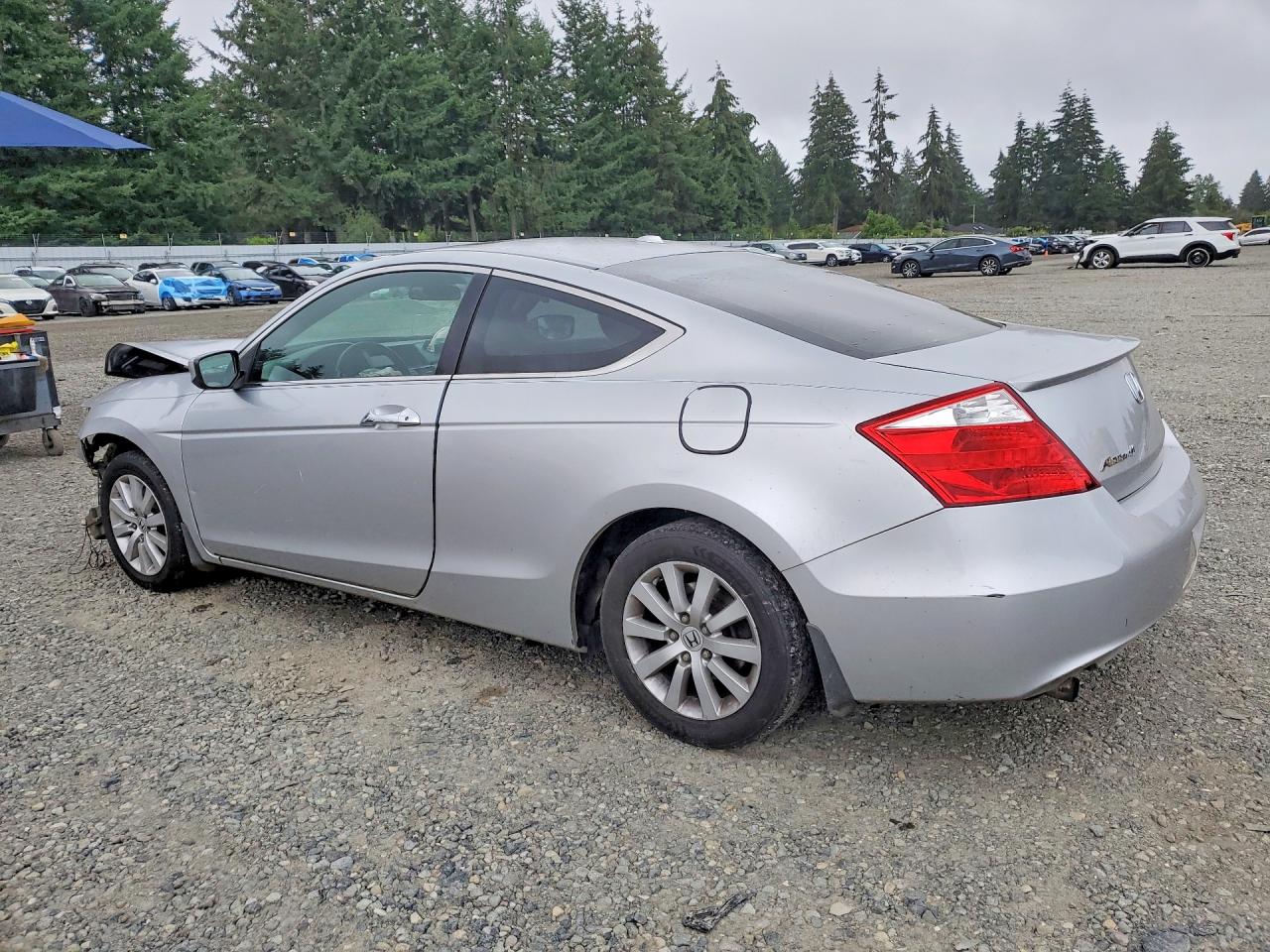 2009 Honda Accord Exl Серебряный vin: 1HGCS22879A006926