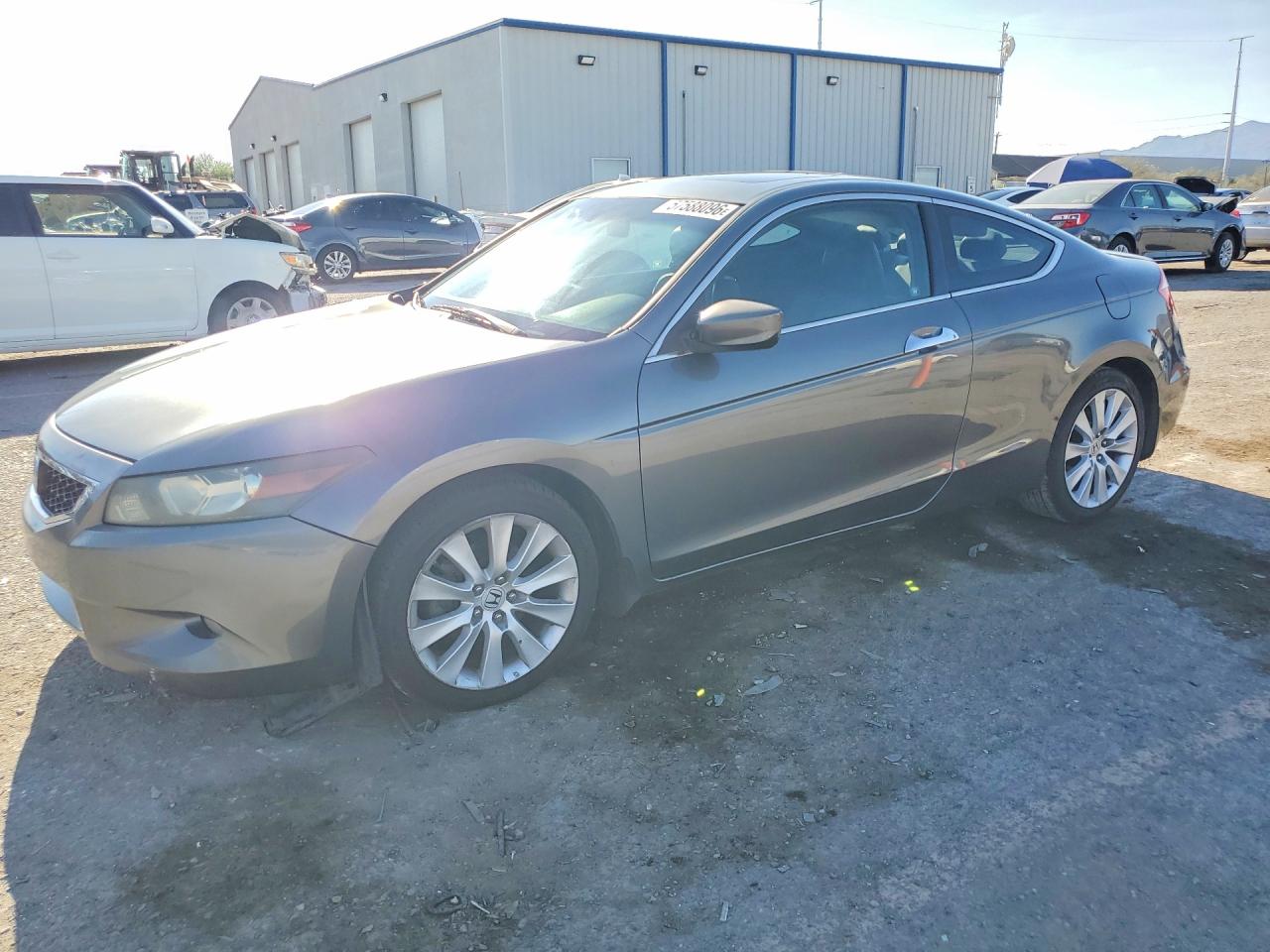 2009 Honda Accord Exl Gray vin: 1HGCS22889A006319