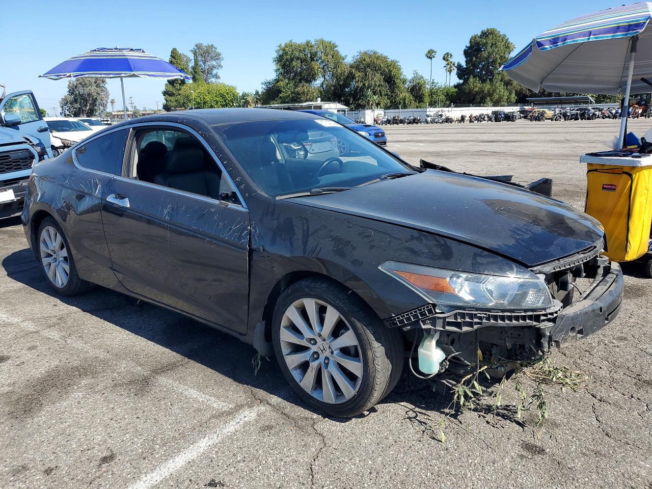 2009 Honda Accord Exl Black vin: 1HGCS22889A009768