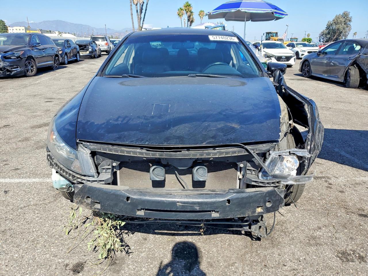 2009 Honda Accord Exl Black vin: 1HGCS22889A009768