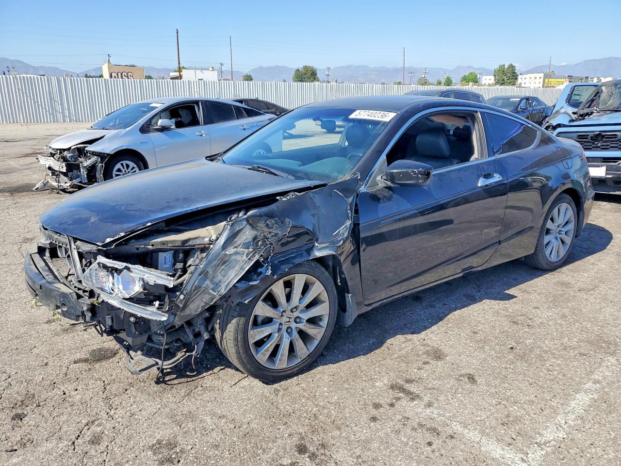 2009 Honda Accord Exl Black vin: 1HGCS22889A009768