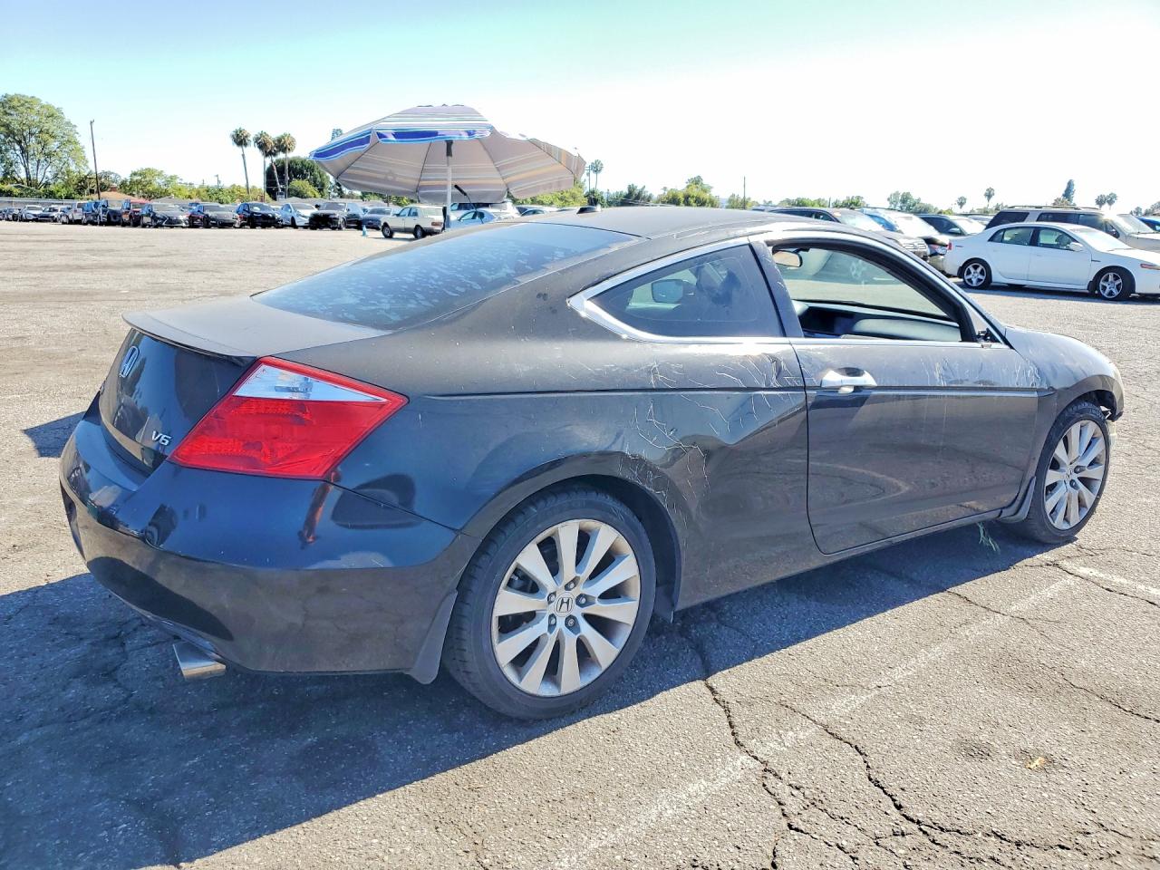 2009 Honda Accord Exl Black vin: 1HGCS22889A009768