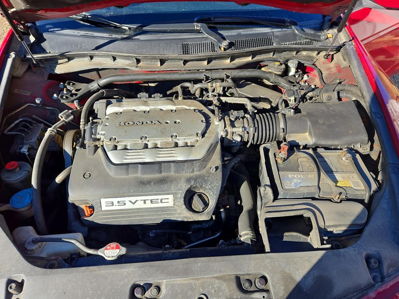 2011 Honda Accord Exl Red vin: 1HGCS2A82BA800448