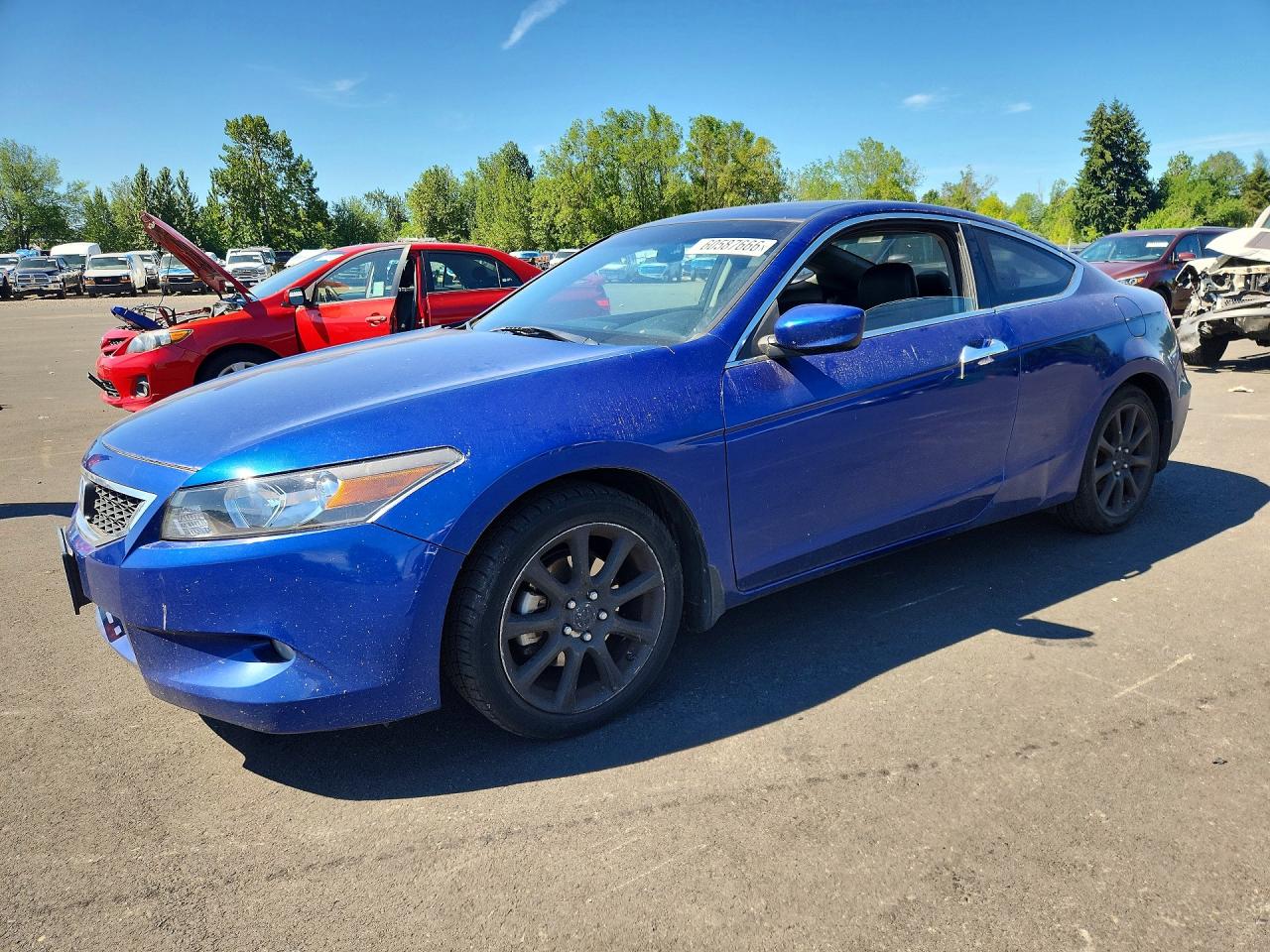 2010 Honda Accord Exl Blue vin: 1HGCS2A83AA008114