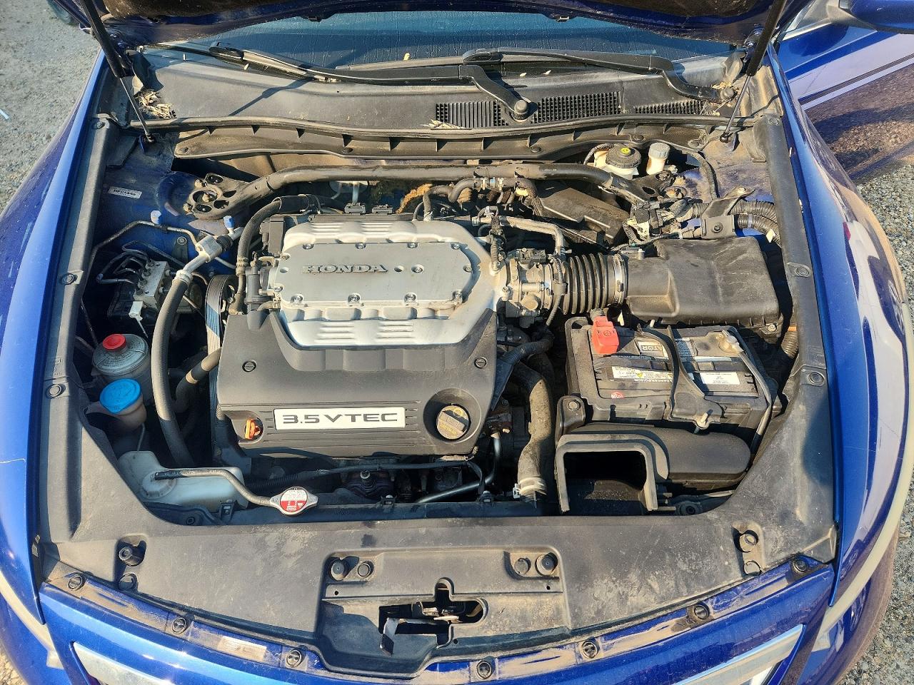 2011 Honda Accord Exl Синий vin: 1HGCS2A85BA800301