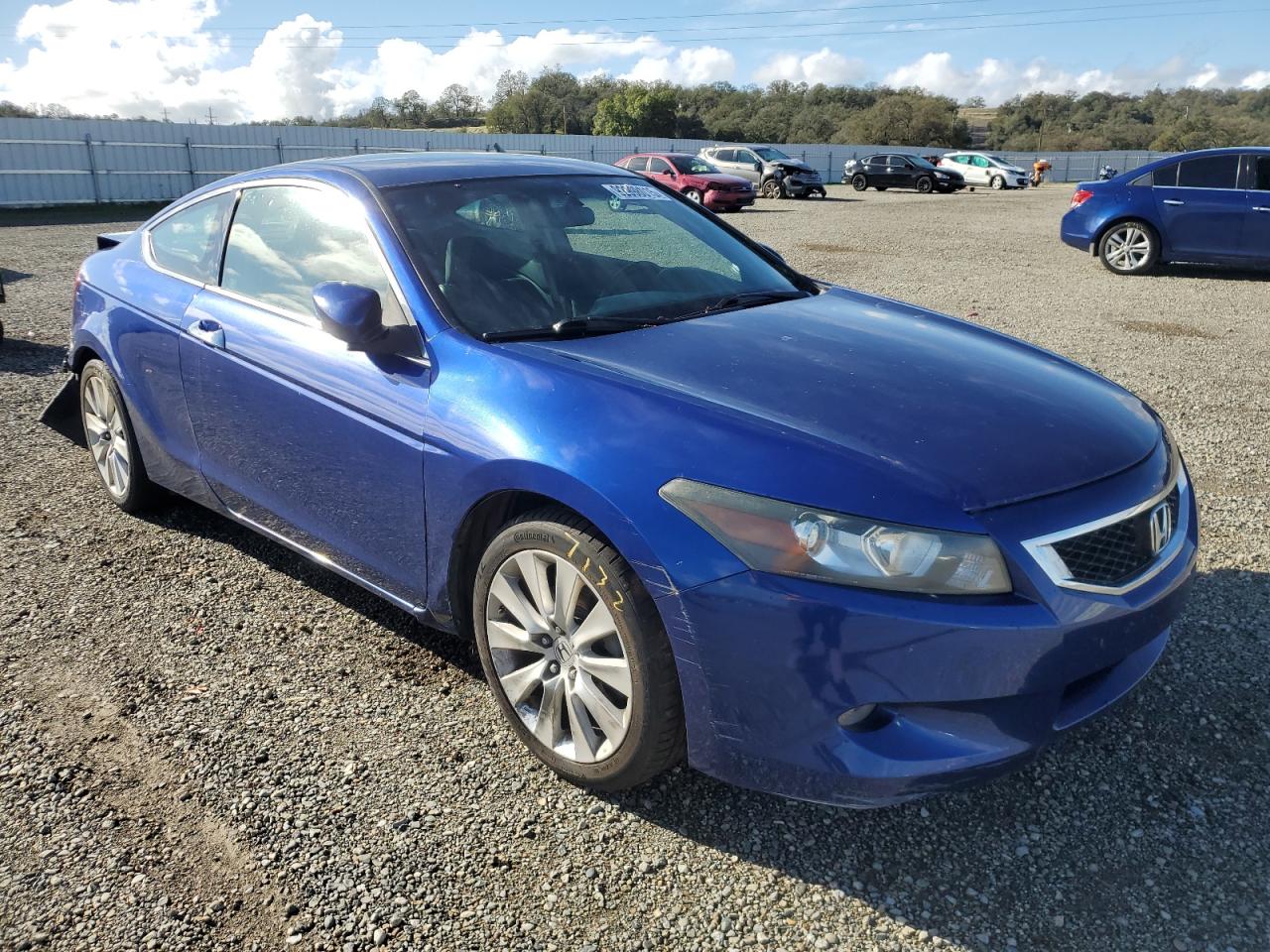 2010 Honda Accord Exl Blue vin: 1HGCS2A88AA001689