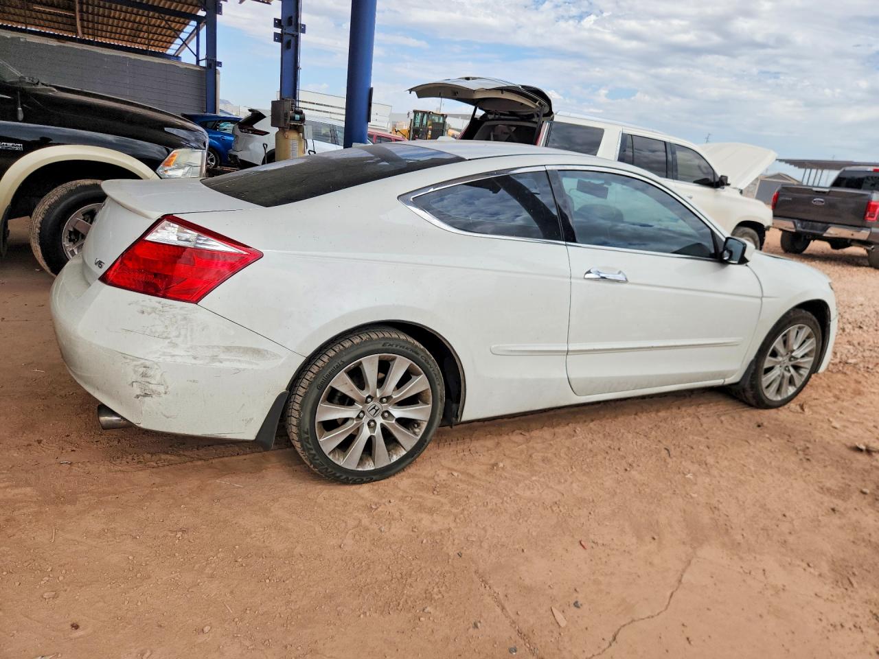 2010 Honda Accord Exl Белый vin: 1HGCS2B81AA006716