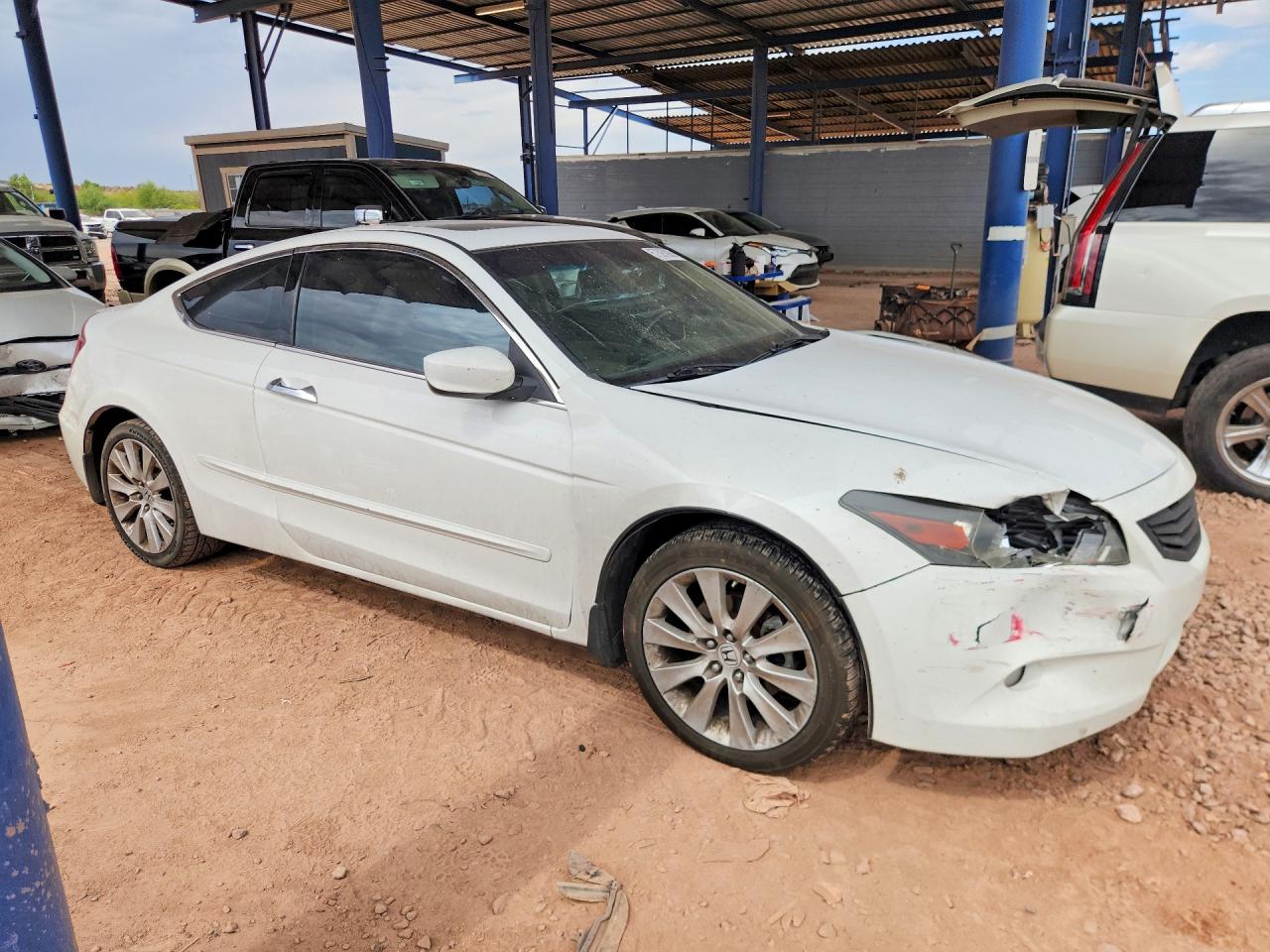 2010 Honda Accord Exl Белый vin: 1HGCS2B81AA006716