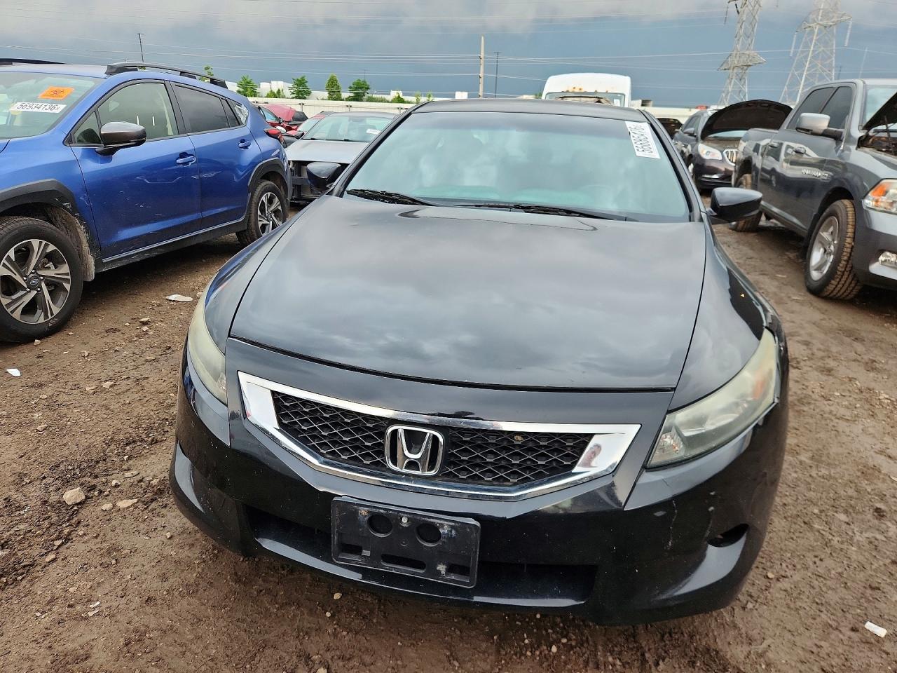 2010 Honda Accord Exl Black vin: 1HGCS2B89AA003711