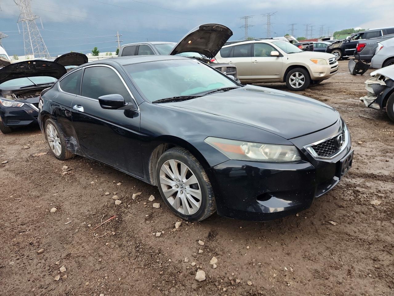 2010 Honda Accord Exl Black vin: 1HGCS2B89AA003711