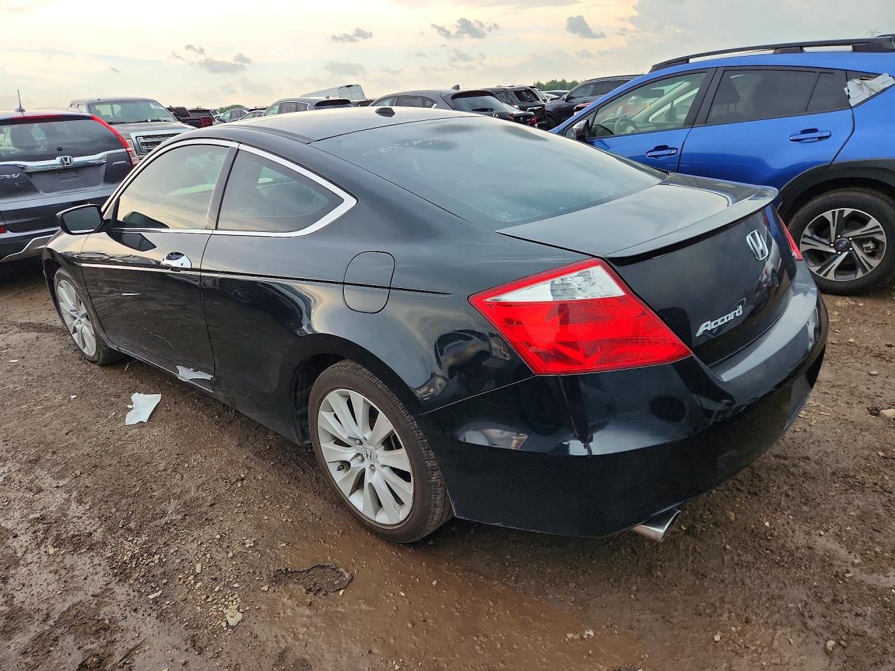 2010 Honda Accord Exl Black vin: 1HGCS2B89AA003711