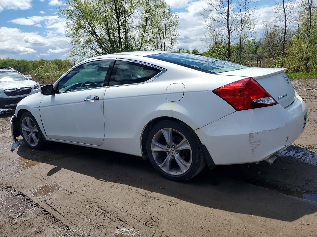 2011 Honda Accord Exl White vin: 1HGCS2B89BA007307