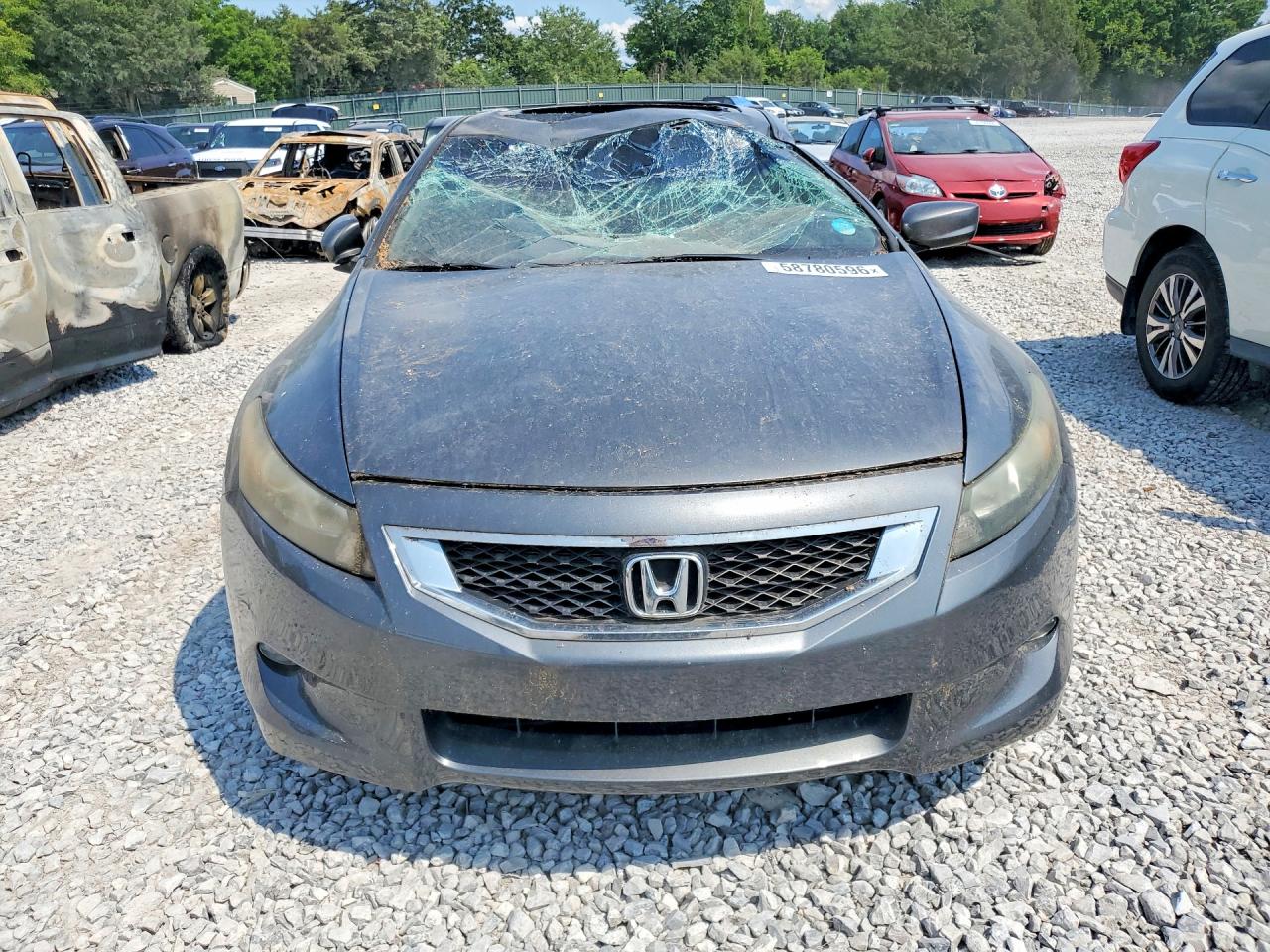 2010 Honda Accord Exl Gray vin: 1HGCS2B8XAA006536