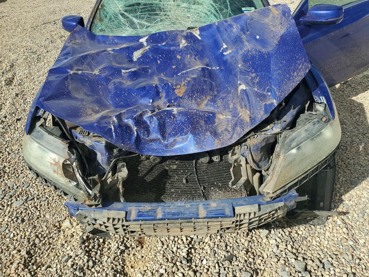 2014 Honda Accord Ex Blue vin: 1HGCT1B71EA004596