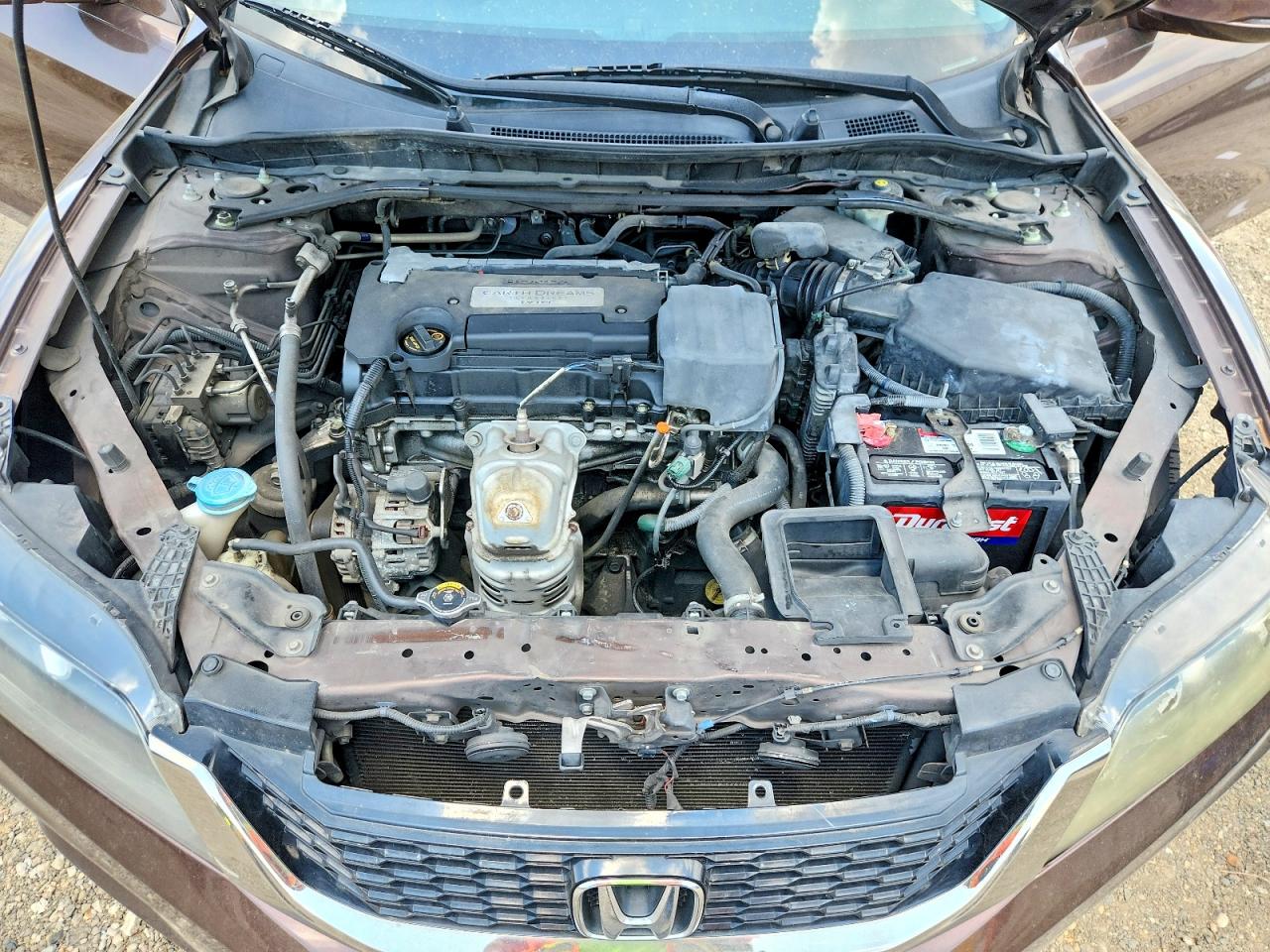 2014 Honda Accord Ex Brown vin: 1HGCT1B73EA007046