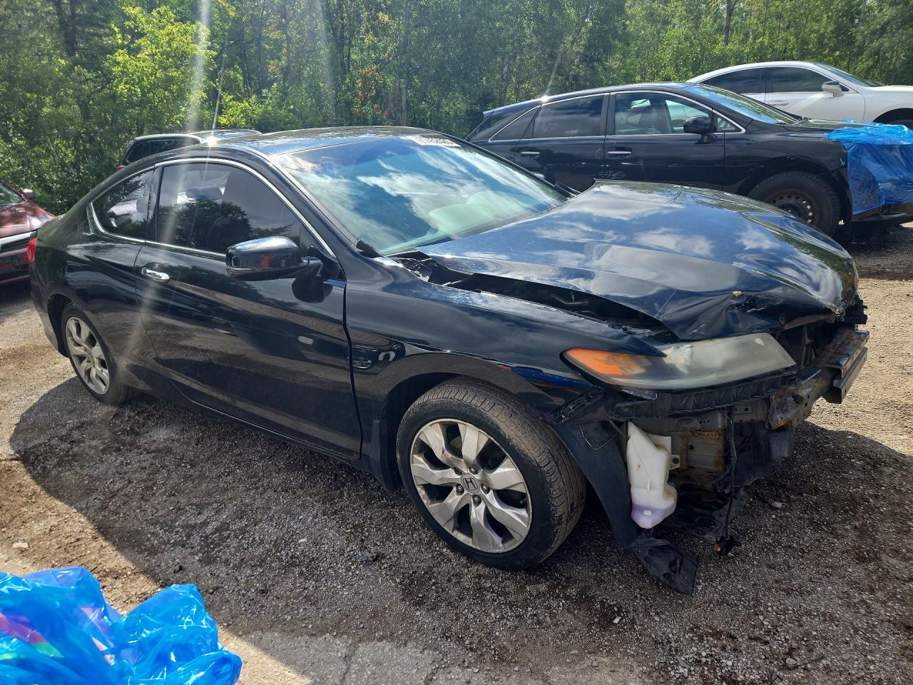 2013 Honda Accord Ex Black vin: 1HGCT1B74DA800032