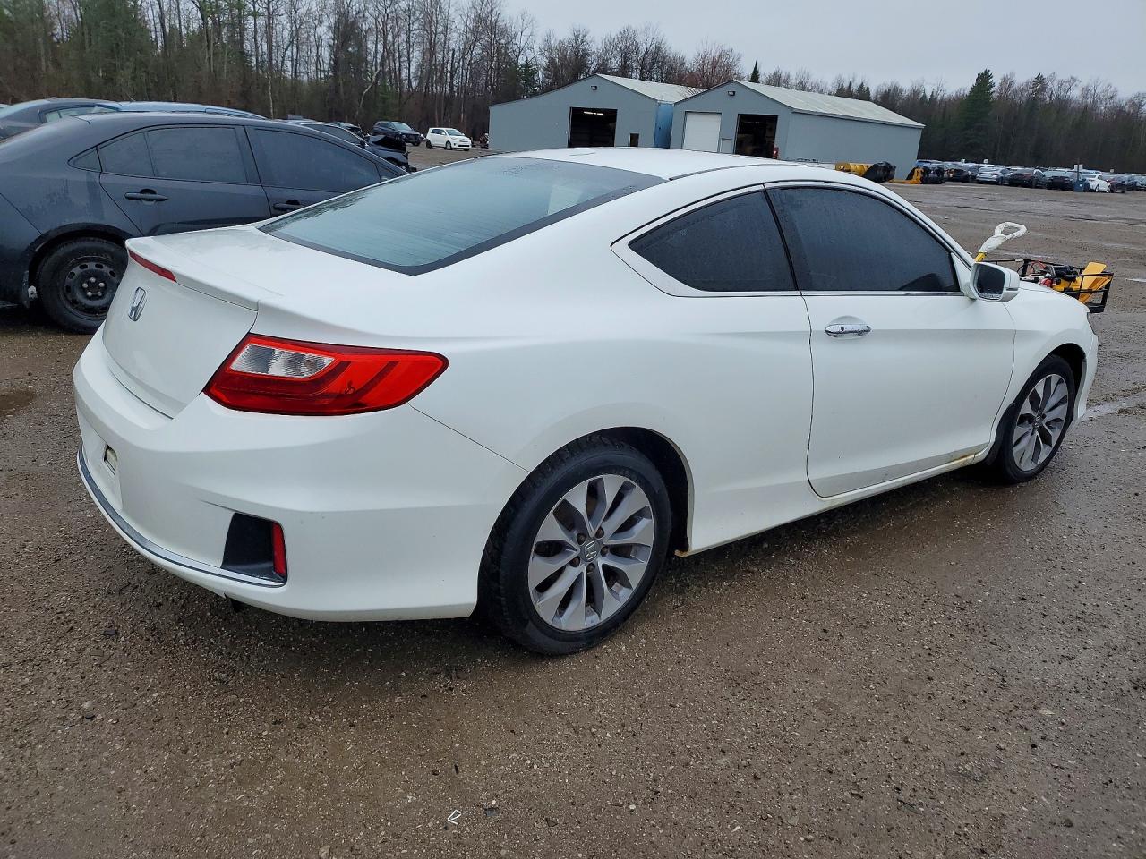 2013 Honda Accord Ex White vin: 1HGCT1B78DA800230