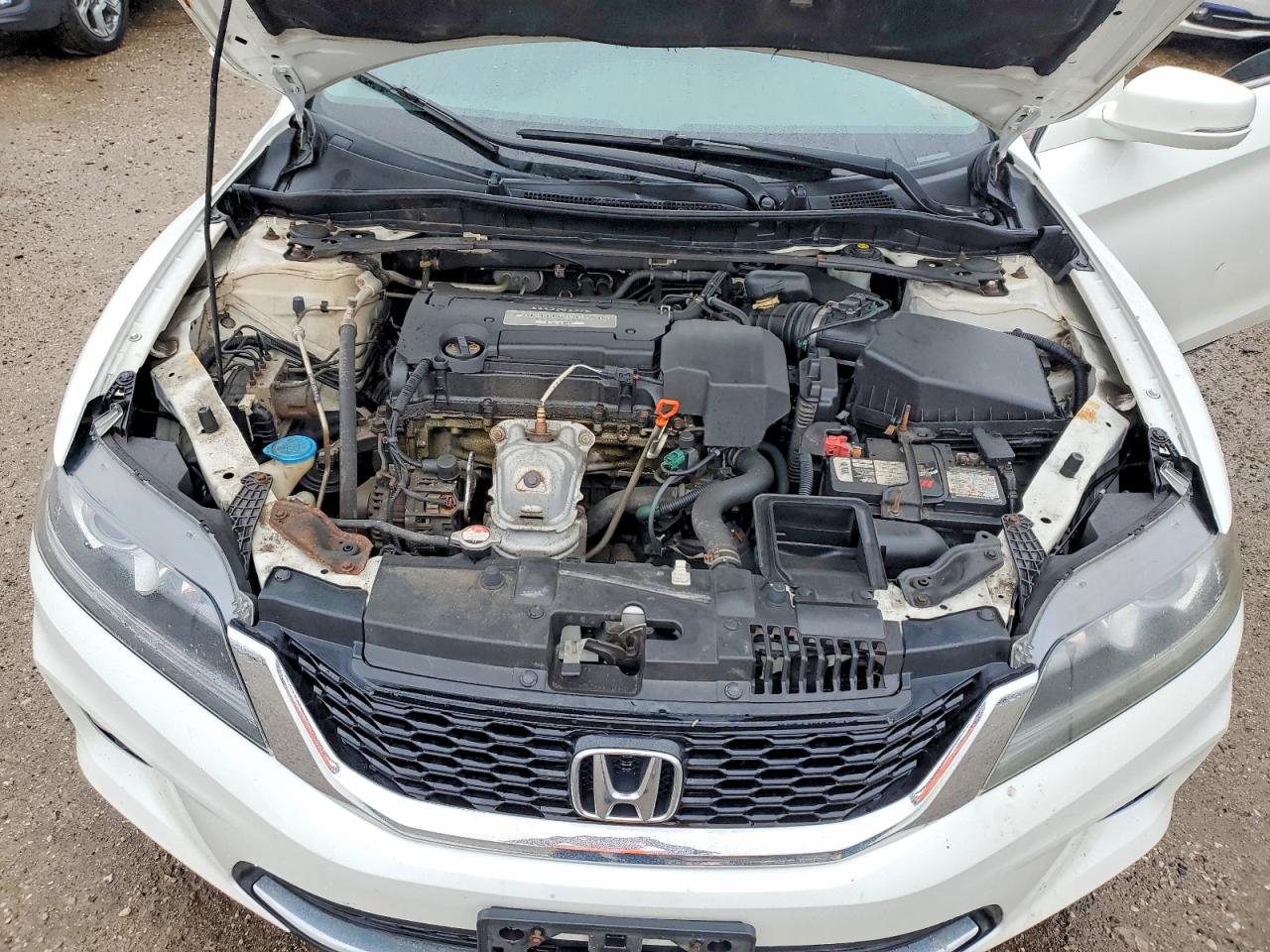 2013 Honda Accord Ex White vin: 1HGCT1B78DA800230