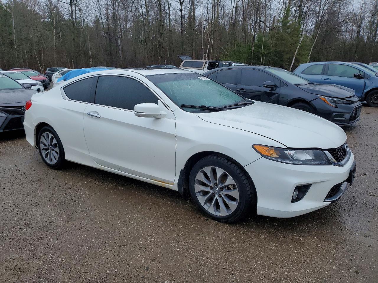 2013 Honda Accord Ex White vin: 1HGCT1B78DA800230