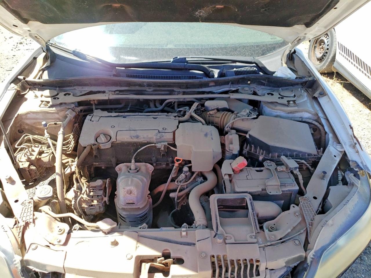 2013 Honda Accord Exl White vin: 1HGCT1B80DA004466