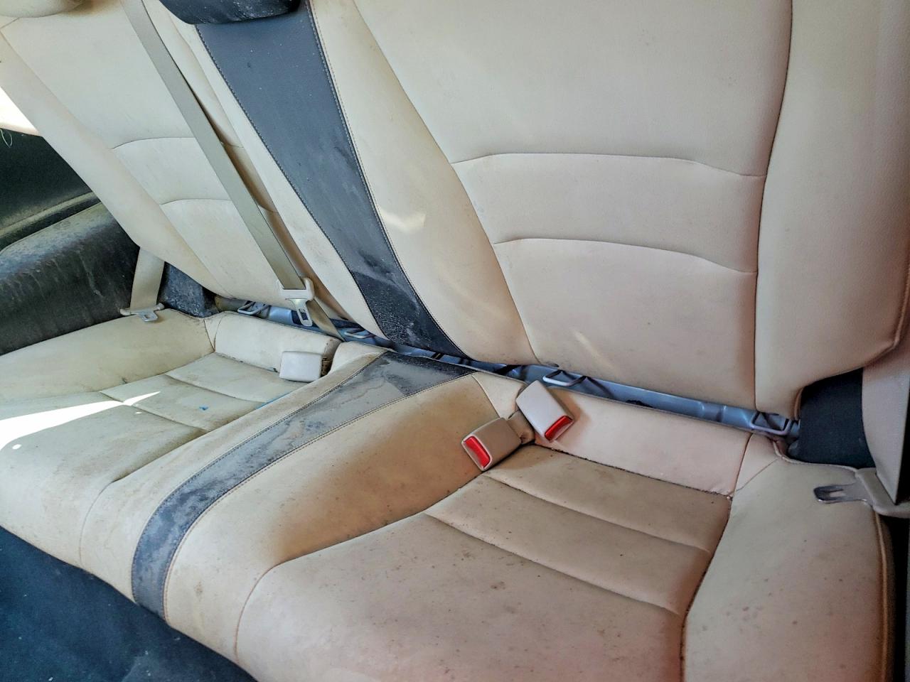 2013 Honda Accord Exl White vin: 1HGCT1B80DA004466