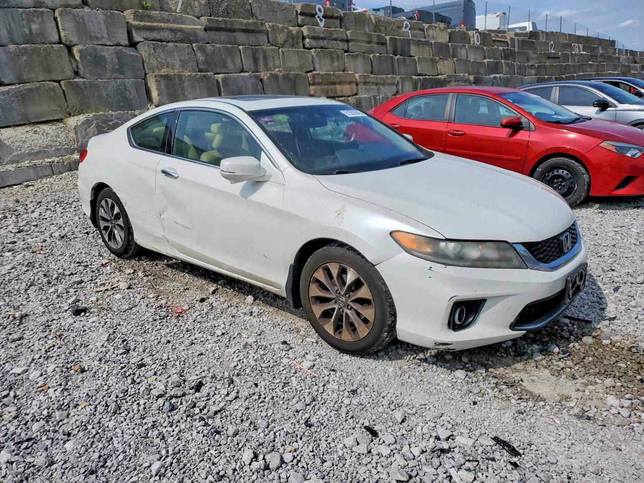 2013 Honda Accord Exl White vin: 1HGCT1B80DA014303