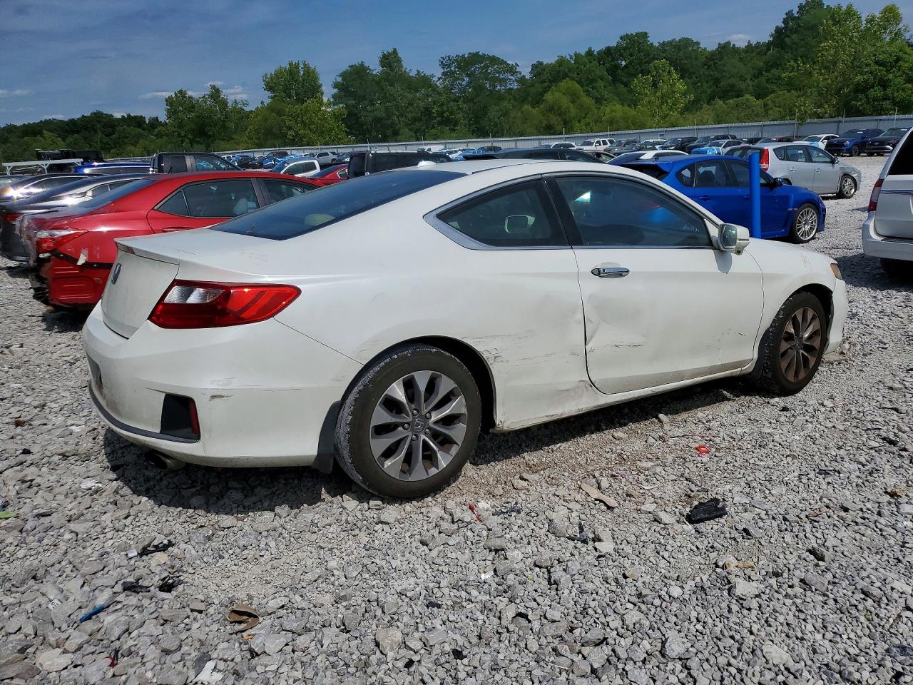 2013 Honda Accord Exl White vin: 1HGCT1B80DA014303