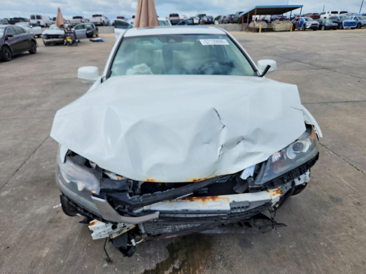 2015 Honda Accord Exl Белый vin: 1HGCT1B81FA012076
