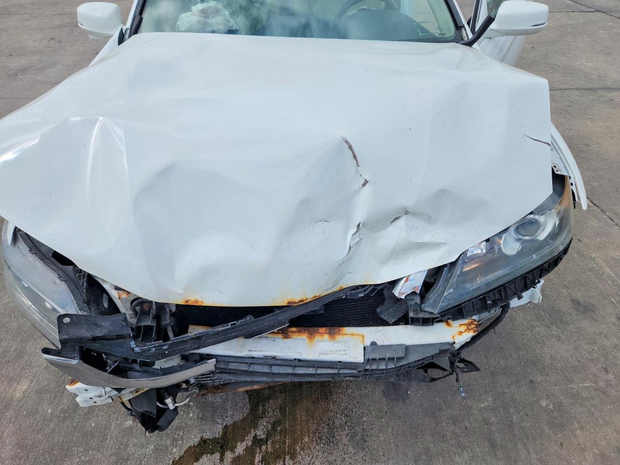 2015 Honda Accord Exl Белый vin: 1HGCT1B81FA012076