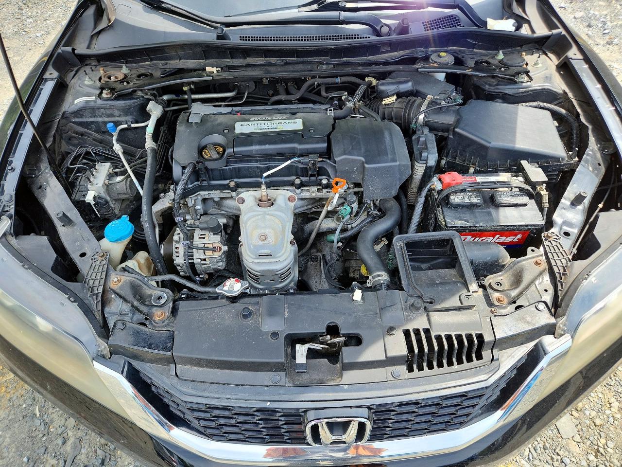 2013 Honda Accord Exl Black vin: 1HGCT1B82DA002377