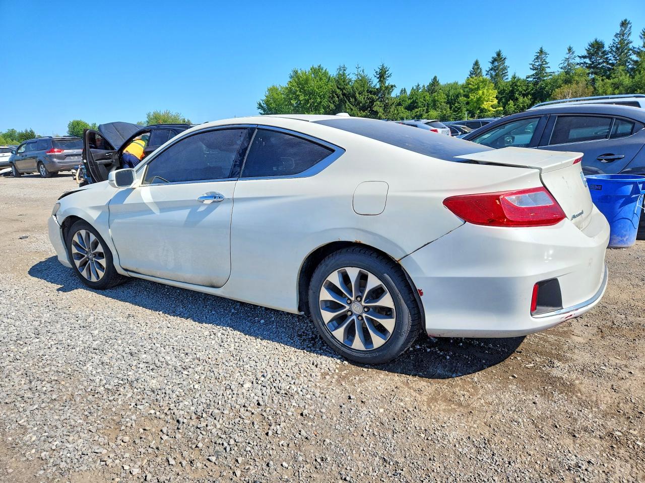 2013 Honda Accord Exl White vin: 1HGCT1B82DA800782