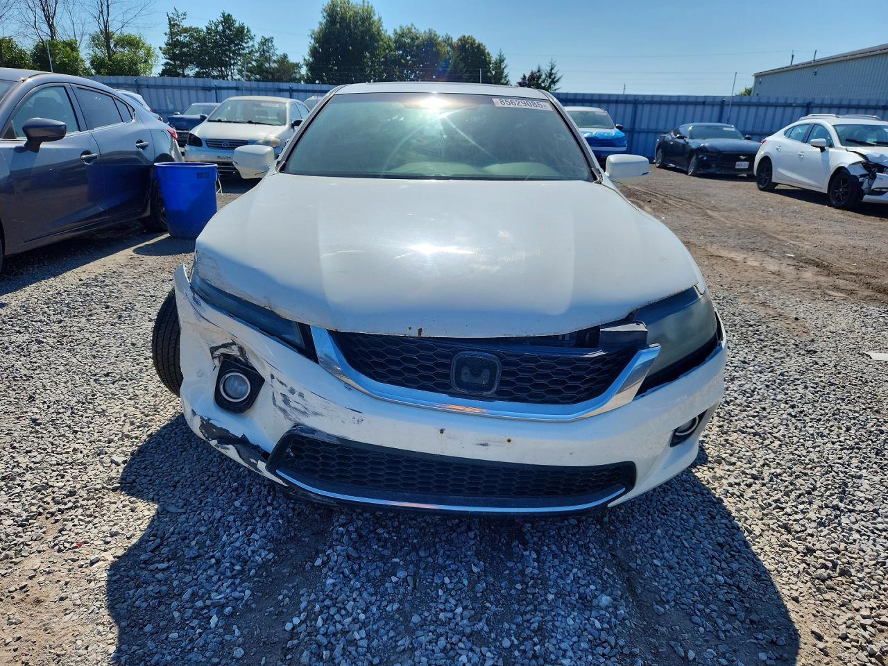 2013 Honda Accord Exl White vin: 1HGCT1B82DA800782
