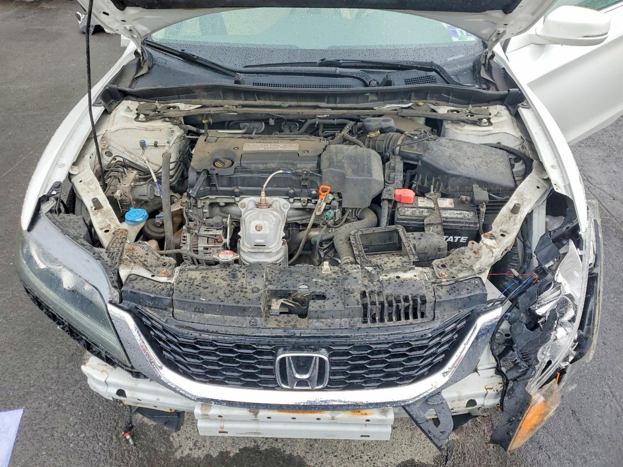 2013 Honda Accord Exl White vin: 1HGCT1B83DA001335