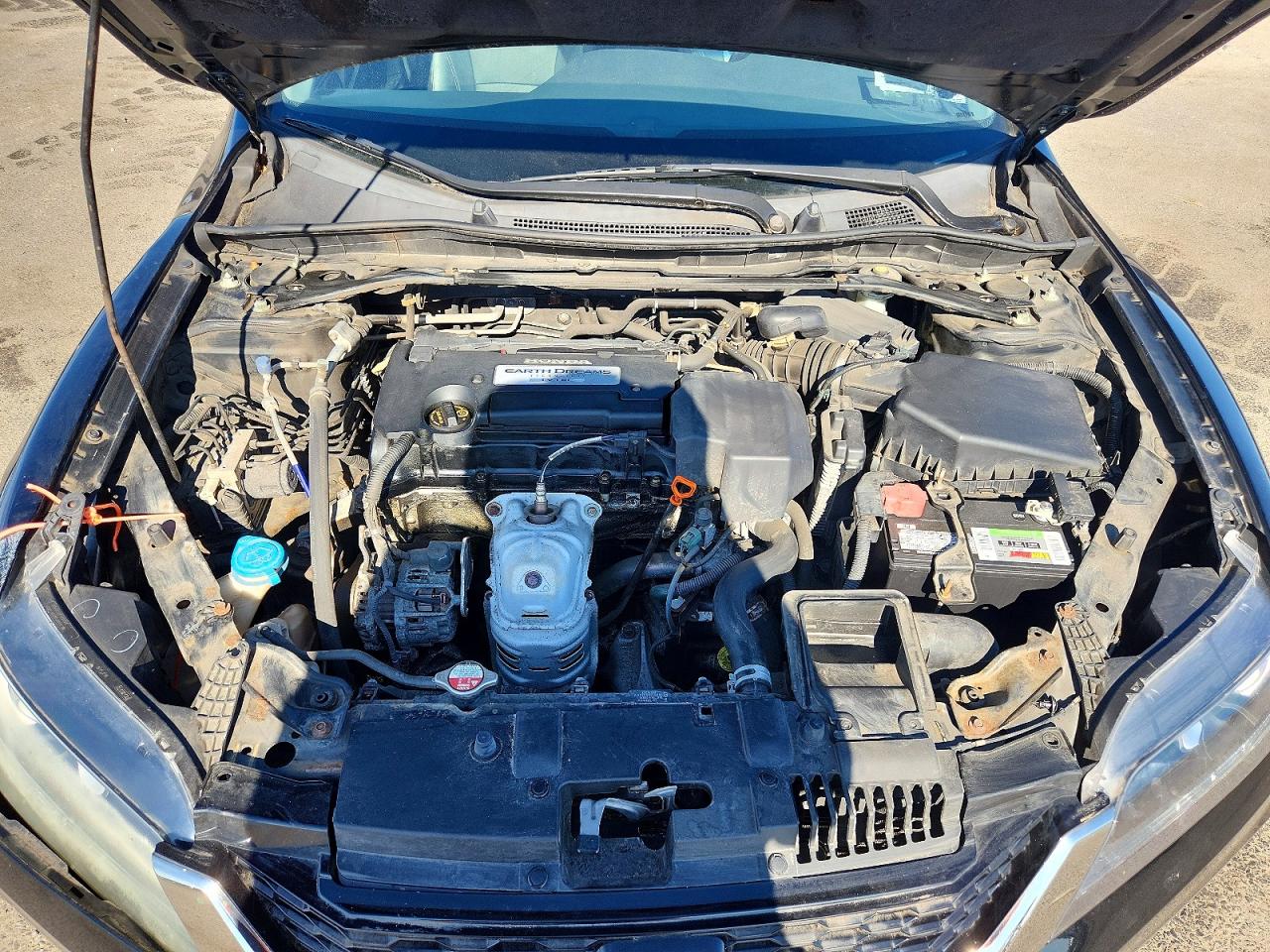 2013 Honda Accord Exl Black vin: 1HGCT1B83DA013517